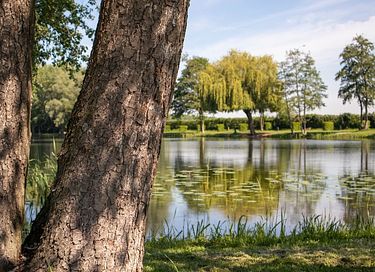 Stoer overnachten in de Betuwe - 16