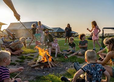  Glamping à la ferme laitière et animale - 5
