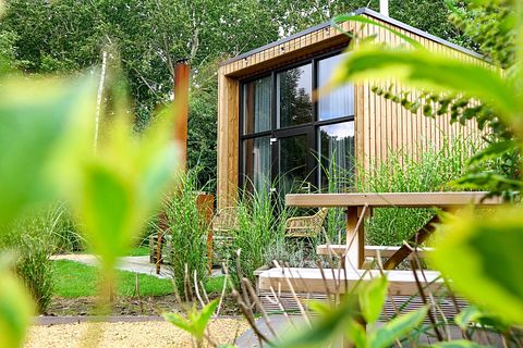 Tiny House in Nordholland für 2 Personen - 3