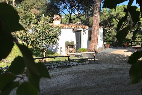 Stimmungsvolle Casita mit Meerblick - 2
