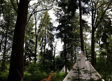 Glamping in de natuur met meditatie/yoga - 14