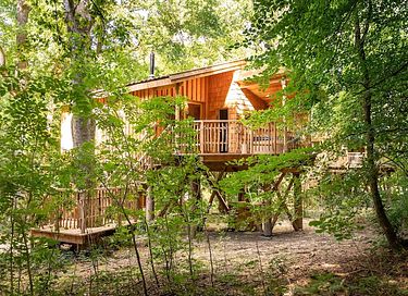 Treehouse (2p) in the Ardennes with wellness - 27