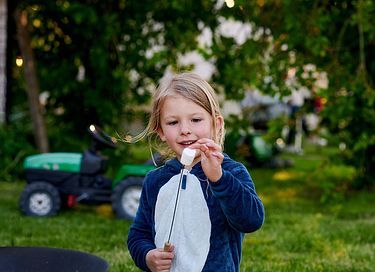Leuke glamping tent (5 pers) in Brabant - 14