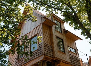Luxury tree lodge with sauna - 4