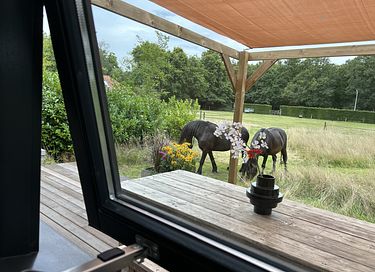 Tiny House met hottub en veel privacy - 17