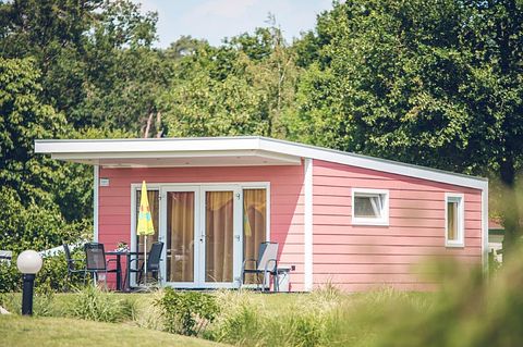 Kleurig chalet voor 4 personen in Gelderland - 2