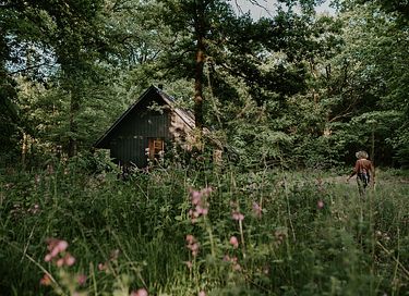 Einzigartiger Aufenthalt in einer außergewöhnlichen Naturhütte - 16
