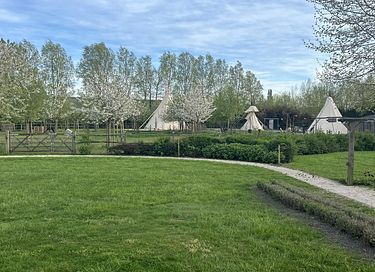 Cozy teepee for unique overnight stay - 10