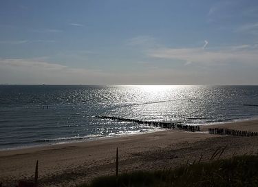 Vakantiebungalow op bosrijk park aan de kust - 32