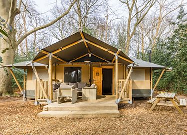 Luxury glamping lodge with private hot tub - 3