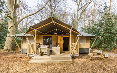 Luxury glamping lodge with private hot tub - 3