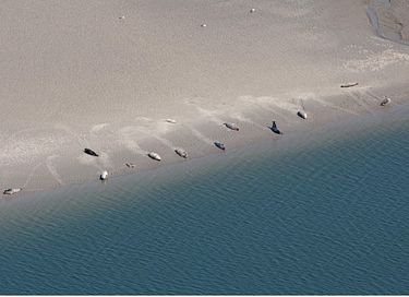 Sejour en groupe près de la mer - 31