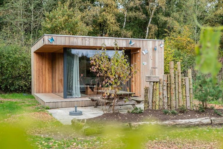 Minuscule maison confortable (2p) sur la Veluwe - 1