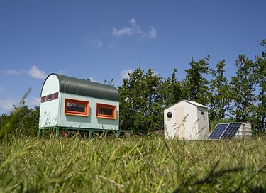 Vogels spotten vanuit je eigen hut - 1
