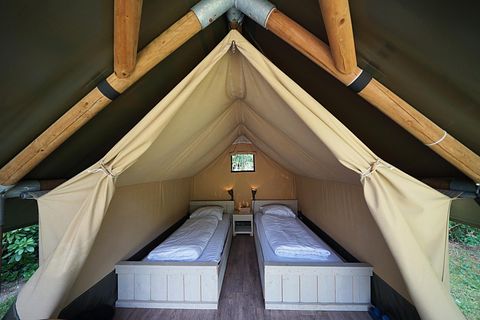 Glamping tent for 2 on the Veluwe - 5