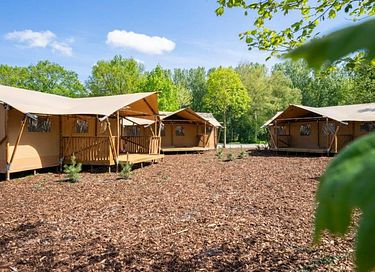 Glamping for 4 near Amsterdam - 2