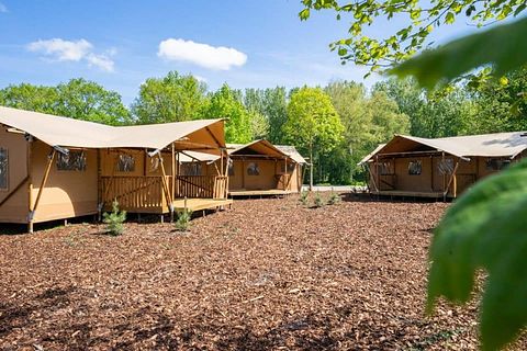 Glamping for 4 near Amsterdam - 2