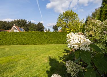 A Lovely Holiday Home in the Drenthe Countryside - 38
