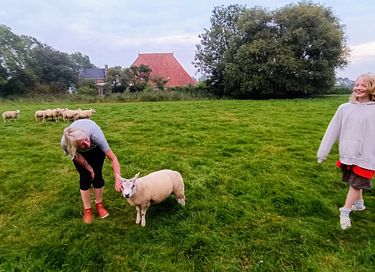 Overnachten in een unieke Dome aan het water - 23