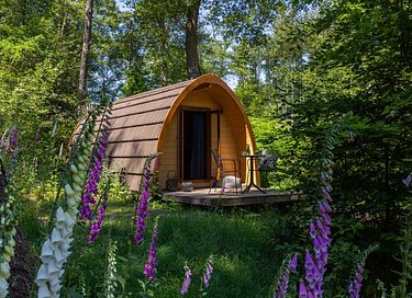 Enjoy nature in this luxury pod - 8