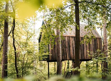 Stimmungsvolle Waldhütte in den Ardennen - 2