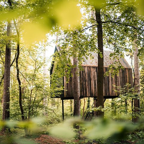 Stimmungsvolle Waldhütte in den Ardennen - 2