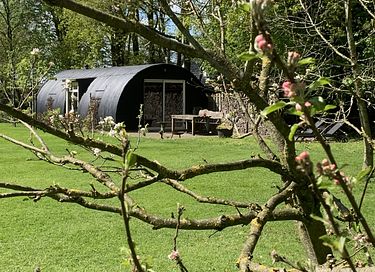 Bijzonder verblijf in de Friese natuur  - 2