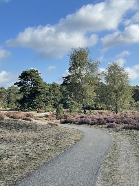 Casetta nel bosco sulla Veluwe in un villaggio turistico con piscina - 4
