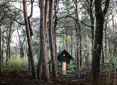 Einzigartiger Aufenthalt in einer außergewöhnlichen Naturhütte - 14
