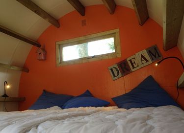 Dormir dans un tronc d'arbre unique sur la Veluwe - 8