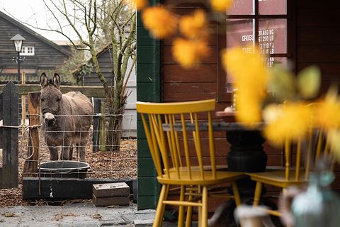 Bijzonder houten huisje tussen de dieren - 3