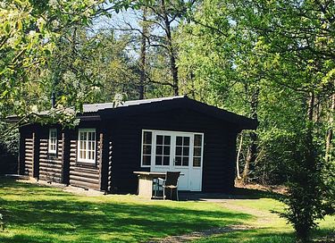 Cabane robuste en rondins (5p) à Holterberg - 4