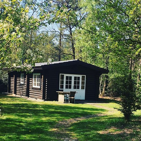 Cabane robuste en rondins (5p) à Holterberg - 4
