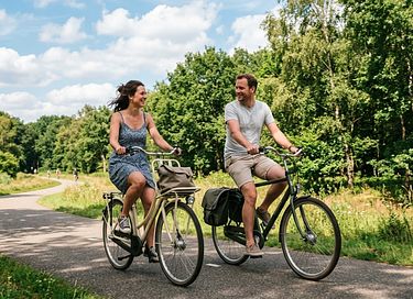 Luxuriöse Wellness-Lodge in den Wäldern von Brabant - 32