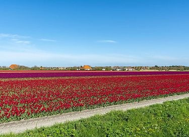 Vakantiehuis op loopafstand van strand en bos - 26