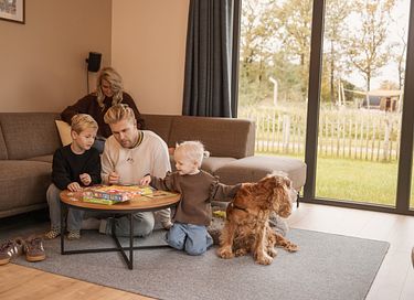 Logement de vacances avec wellness et portail pour chiens - 9