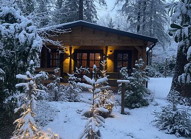 Tough luxury Scandinavian forest lodge on Veluwe - 39