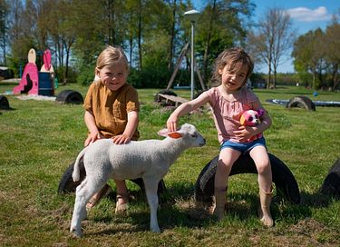 Glamping auf der Dairy & Calf Farm - 3