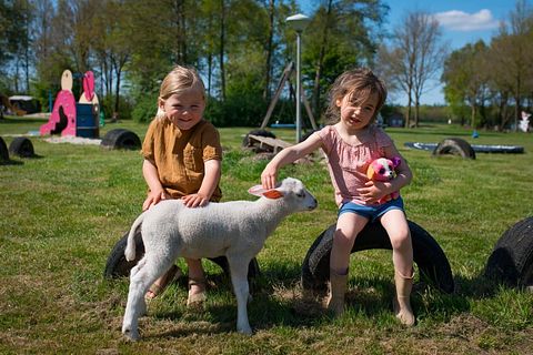 Glamping auf der Dairy & Calf Farm - 3