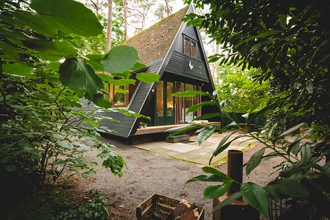 Sfeervol boshuisje in de Belgische natuur - 2