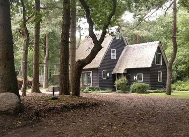 Fairytale forest cottage in Drenthe - 6