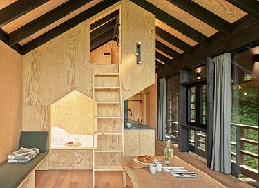 Luxueuze boomhut in de Ardennen - 8