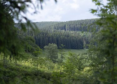 Feriebolig centralt beliggende i Tyskland - 31