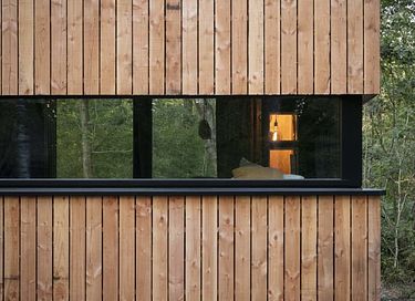 Boslodge met privé sauna  - 14
