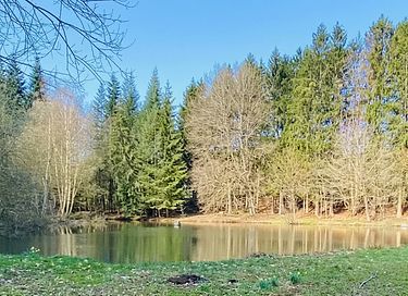 Gîte de charme dans les bois ardennais - 16