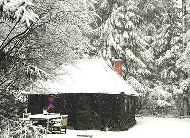 Romantic forest cottage on Veluwe estate - 16