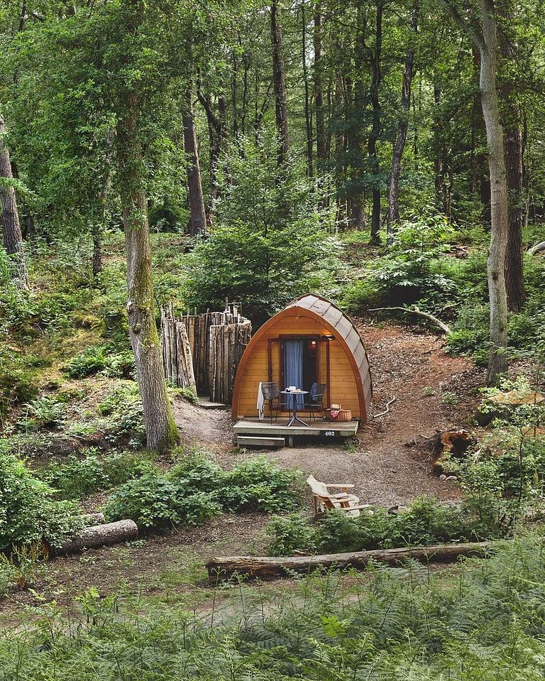 Gemütliche Hütte mit Außendusche im Wald - 1