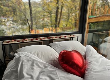 Chalet (2p) met Scandinavisch bad in de Elzas - 15