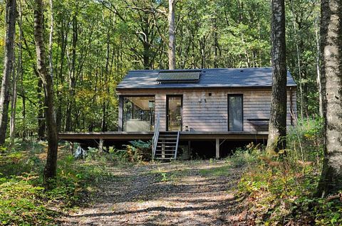 Houten boshuisje in de Ardennen (4p) - 3