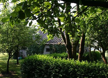 Natuurhuis in de landerijen van Groningen - 5